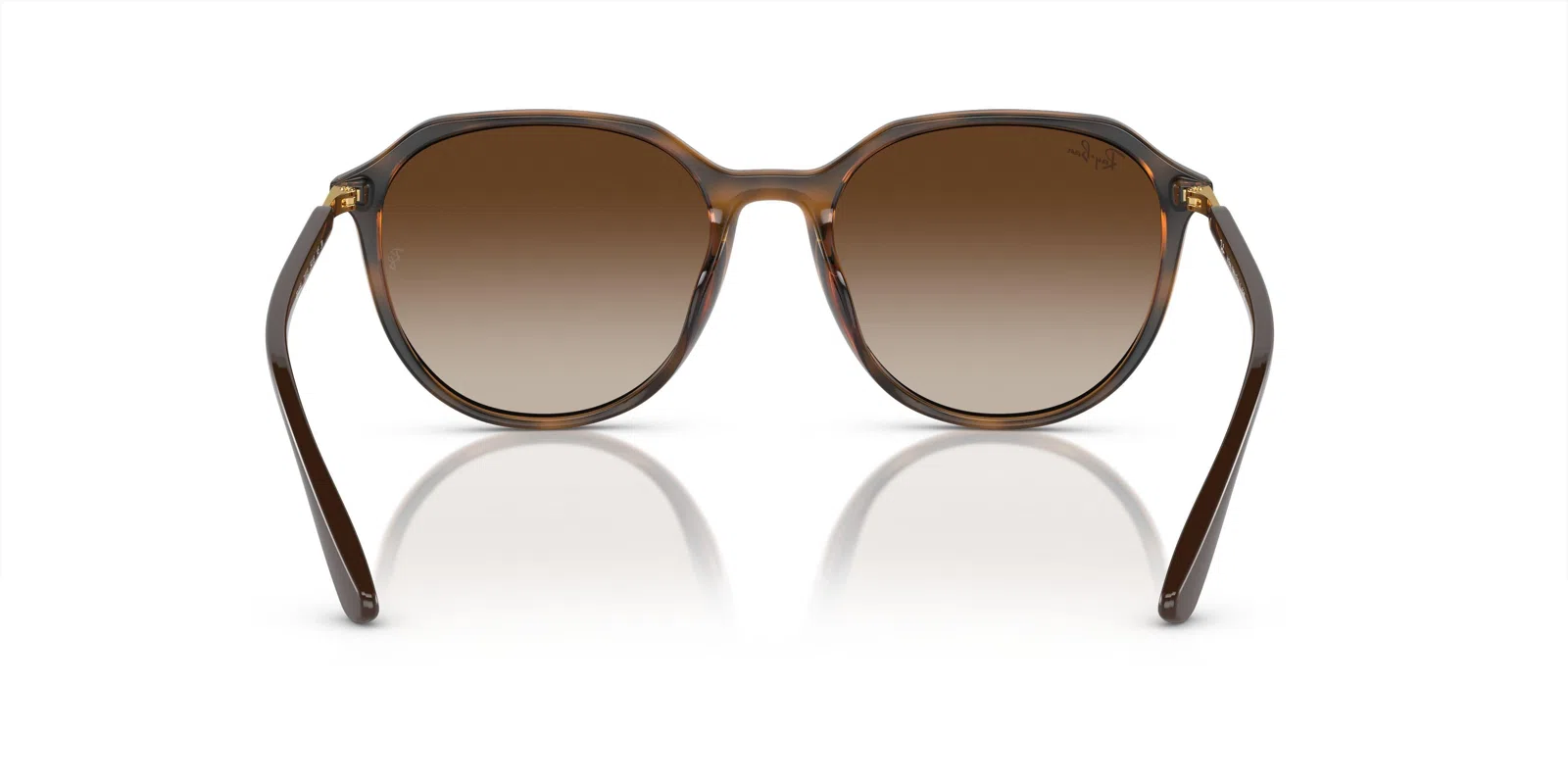 Ray-Ban 4415L Sunglasses - view 11
